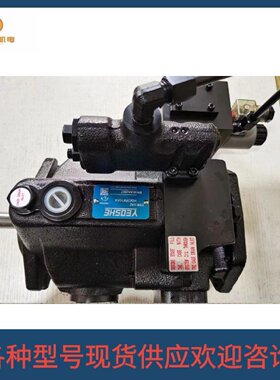 寻I代理台湾油升PV016GJ4RM1AFVPV080A3RM1A0NPV040A4RM1A0N
