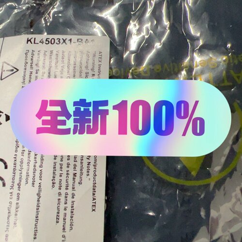 询价-KL4503X1BA1