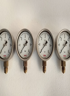 Ericks0-6巴压力表EN837-1