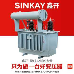 500千伏安400kva三相800瓦250kw35kv200油浸式 S13 160电力变压器