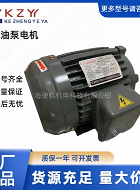 寻“”KZYY油泵电机KZY油压马达VP20FA3内轴电动机2HP1.5KW