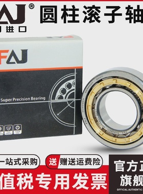 FAJNN3010KP5W33D3182110K进口双列圆柱滚子内径50mm外80mm