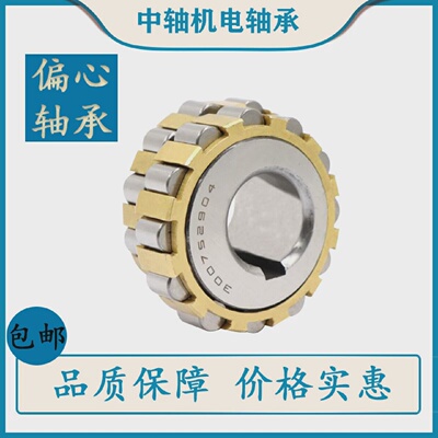 圆柱整体偏心减速机轴承80752904K1 100752904K1 130752904K1