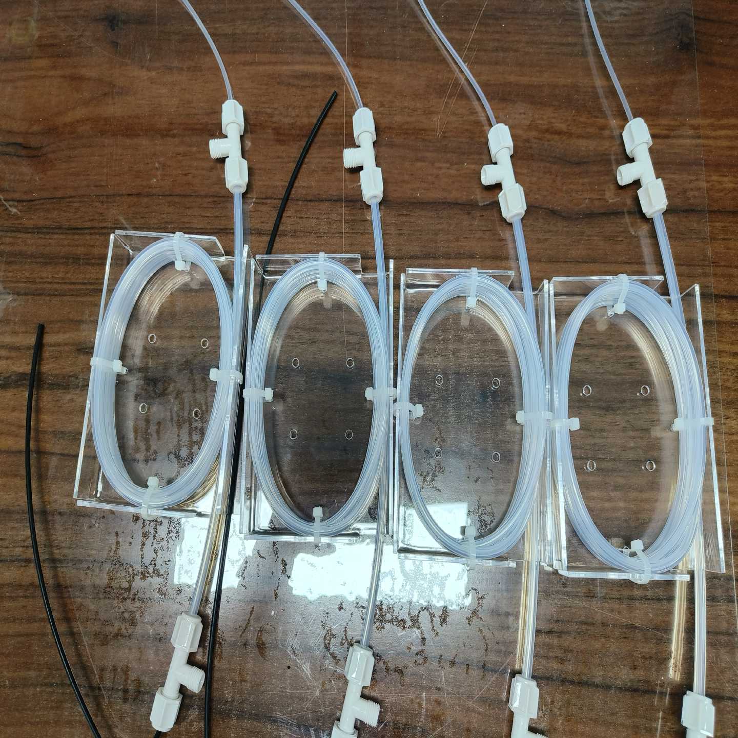 蓝盾，赛默飞，剔除器，干燥管，kk管，天虹的kicker管，