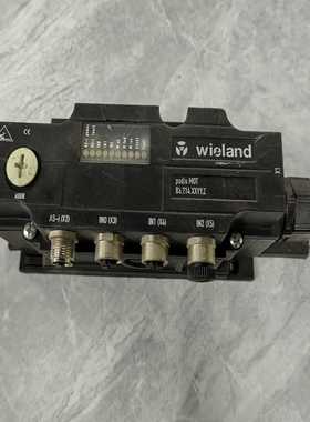 议价议价wieland总线连接器83214XXYYZ实物拍摄实