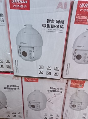 DHSD6220大华6寸红外智能监控球机-议价