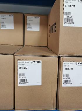 OMPX80 11186721怀特摆线马达【侨报商行】