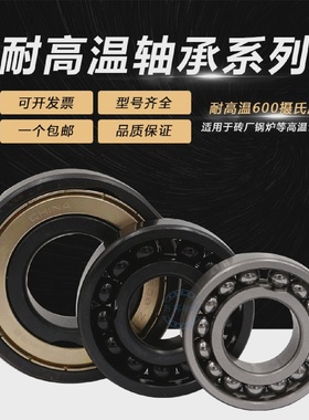 耐高温轴600度黑白色6300-6301-6302-6303-6304-6305-6306ZZ