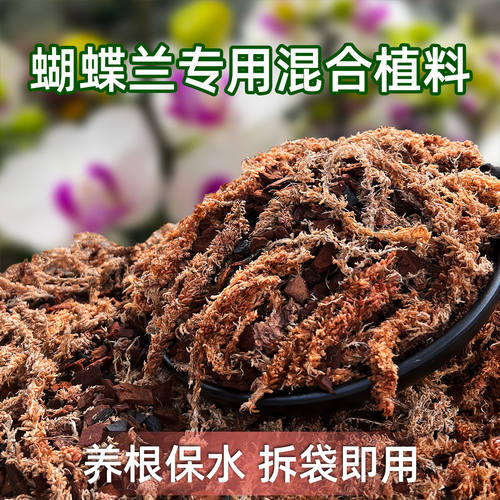 蝴蝶兰专用混合植料兰花种植进口毛毛虫水苔颗粒松树皮兰科营