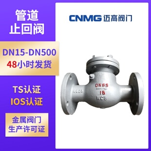 管道止回阀旋启式 16C 止回阀升降式 止回阀逆止阀单向阀H44H