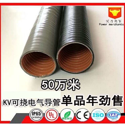 防水型金属可挠管电气导管可挠金属软管金属套管电缆电线保护管KV