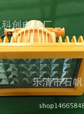 GCD615ZHD710-20WIIC防爆高效节能免维护LED照明灯30WCBD62