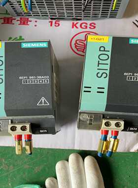 冗余模块滤波器6EP1961-3BA00询价