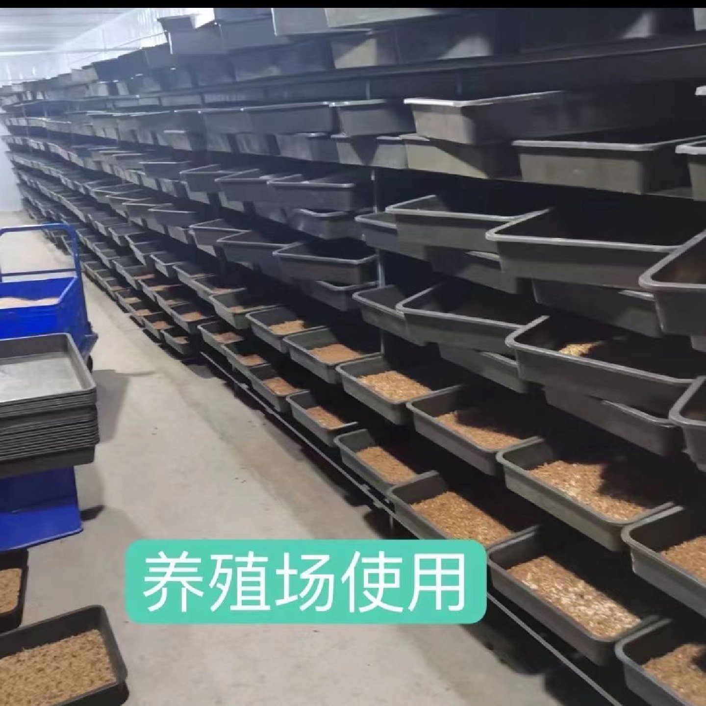 aaa蛋白虫黄粉虫专用养殖盒大麦虫面包虫养殖工具塑料饲养盒厂家