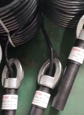 拉姆齐RAMSEY2031倾斜开关议