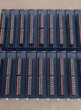 信捷XL-E8X8YR，20只，新机成色，实拍图。功能包好--议价商品