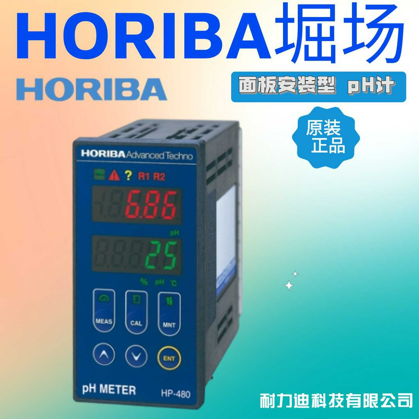 HORIBA堀场-480-480PL-480TP-96e0FTP面板安装型pH计