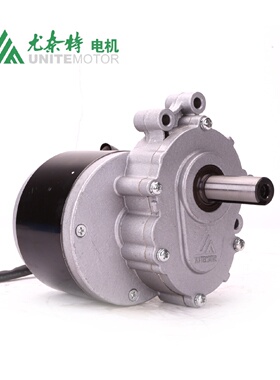 尤奈特轮椅车遥控智能割草车电机有刷永磁直流电动机75转ZD101AZ1