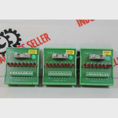 Serad Entrees MIHB8  8PINS  24VDC  UMKSE 11251 MODULE
