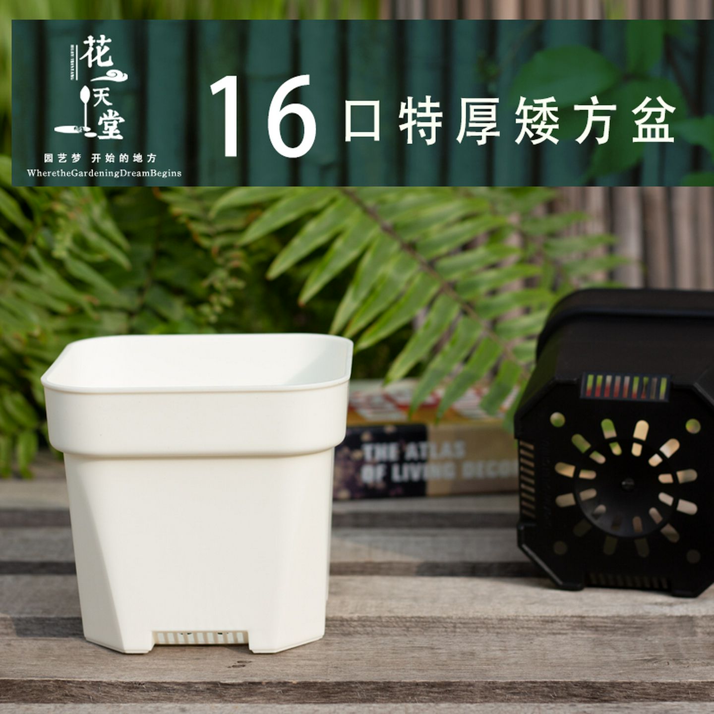 特厚矮多肉塑料花盆大口径景天橙子群生仙人球块根龙舌兰方口白盆