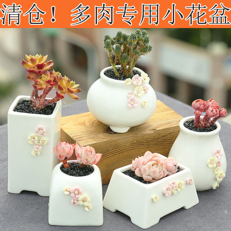 句号简约植物多肉花盆陶瓷特价清仓包邮小号拇指盆捏花透气粗