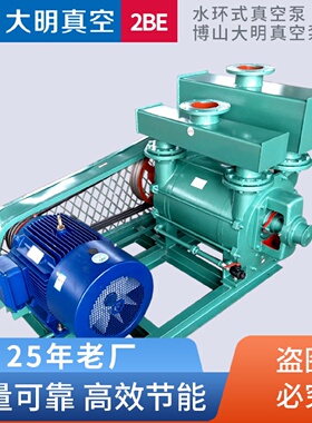厂家直供2BEA203水环式真空泵过滤机配套/造纸/铸造等用途水环泵