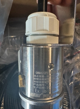 售前询价天津华宁 矿用本质安全型温度感测器 GWM42PGWH100温
