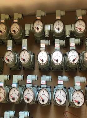 OVALNPI45B10，154cc，阀位指示器，备询价