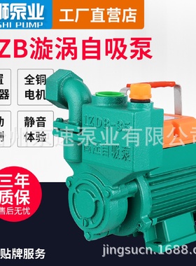 WZB高扬程家用高压自吸泵220V小型耐吸水泵管道增压循环泵抽水泵