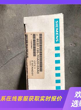 6ES7 195-7HAOO-OXAO 一只 拍前询价下单