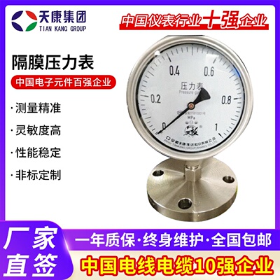 安徽天康不锈钢压力表法兰式隔膜压力表指针式液压表厂家供应
