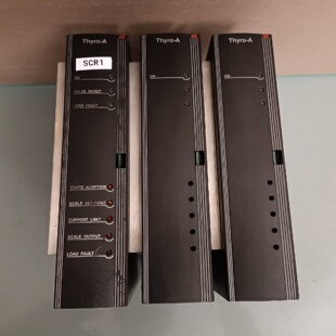 德国AE调功器调压器可控硅电源ThyroA3A400-询