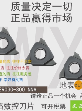 TIGER/泰格TGF32R030-200100110200250150NNA立装式槽刀片