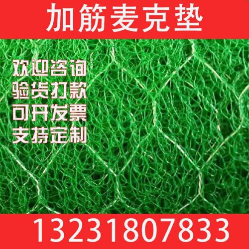 加筋麦克垫生态三维植生垫土工护坡网格宾网雷诺护垫加筋麦克垫