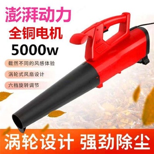 吹风机大功率除尘家用小型鼓风机电脑清灰吹灰220v强力工业吸尘器