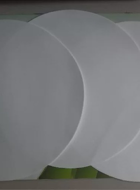 R141b有机溶剂过滤纸 二氯一氟乙烷滤纸 50mm*5um 精密滤膜