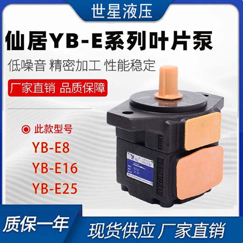 寻I仙居高压叶片油泵YBE32E40E50E63E80E100E125E160200