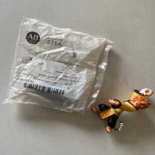 N3; TS5 询价 AB罗克韦尔871A