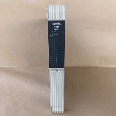 MOORE 39SDM024DCCAN SDM STANDARD DISCRETE MODULE 1610112104
