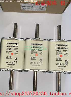 NH2GG50V250NH2GG50V300NH2GG50V315MERSEN美尔森熔断器