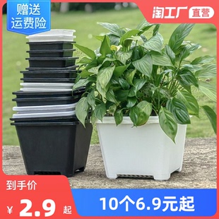 陽(yáng)臺(tái)花盆加厚塑料多肉小綠蘿控根透氣景天盆廠家直銷帶托盤桌面