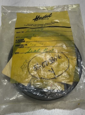 HASKEL 27369  AIR  DRIVE SEAL KIT  Z2M