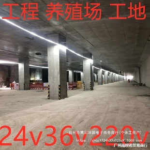 led灯带24v36v220v100米戶外防水工地下室隧道养殖场照明灯条