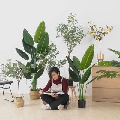 北欧仿真旅人蕉尤加利植物树盆栽大型客厅落地摆件室内假绿植装饰