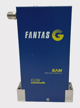 SAMFANTASGMASSFLOWCONTROLLER2482G110SLMNH3