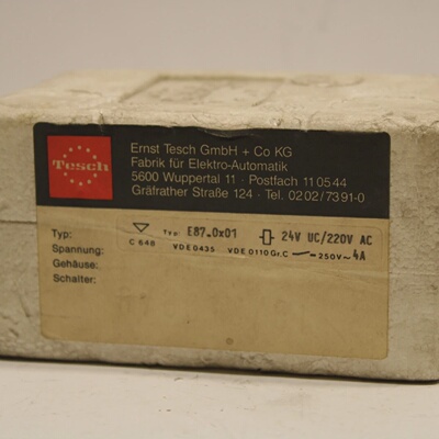 Tesch E87.0x01 Time Relay NEW