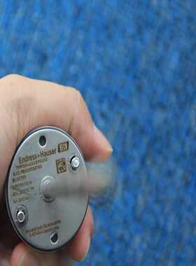 （洋洋设备）EH热电阻芯TPR100-AXX2F3000