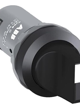 议价原装ABB塑料前圈二位置选择开关   C2SS1-10B-01   自锁型