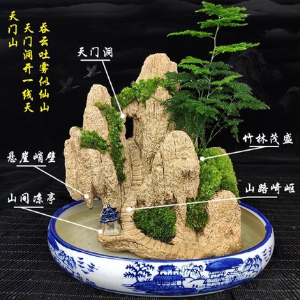 养好发货假山盆景吸水造景奇石头天然植物上水山水石原小室内摆件