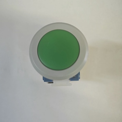 【原装正品】天水二一三按钮LAY39-10ZP（01）天水213自锁平钮